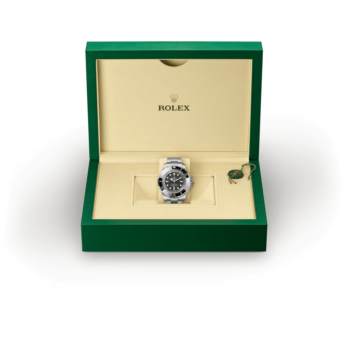 Rolex M126067-0001 Titan RLX